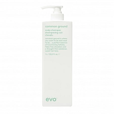 EVO Common Ground Scalp Shampoo 1L