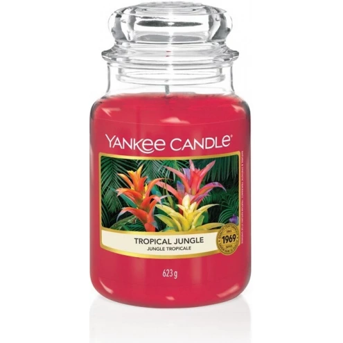 Yankee Candle Large Jar Tropical Jungle 623g