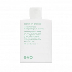 EVO Common Ground Scalp Shampoo 300ml