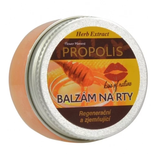 VIVACO Ochranný balzám na rty Propolis HERB EXTRACT 25 g VIVACO Ochranný balzám na rty Propolis HERB EXTRACT 25 g
